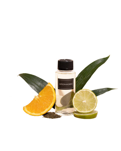 Graceland 50mL Fragrance Oil – Elegant Space Scent