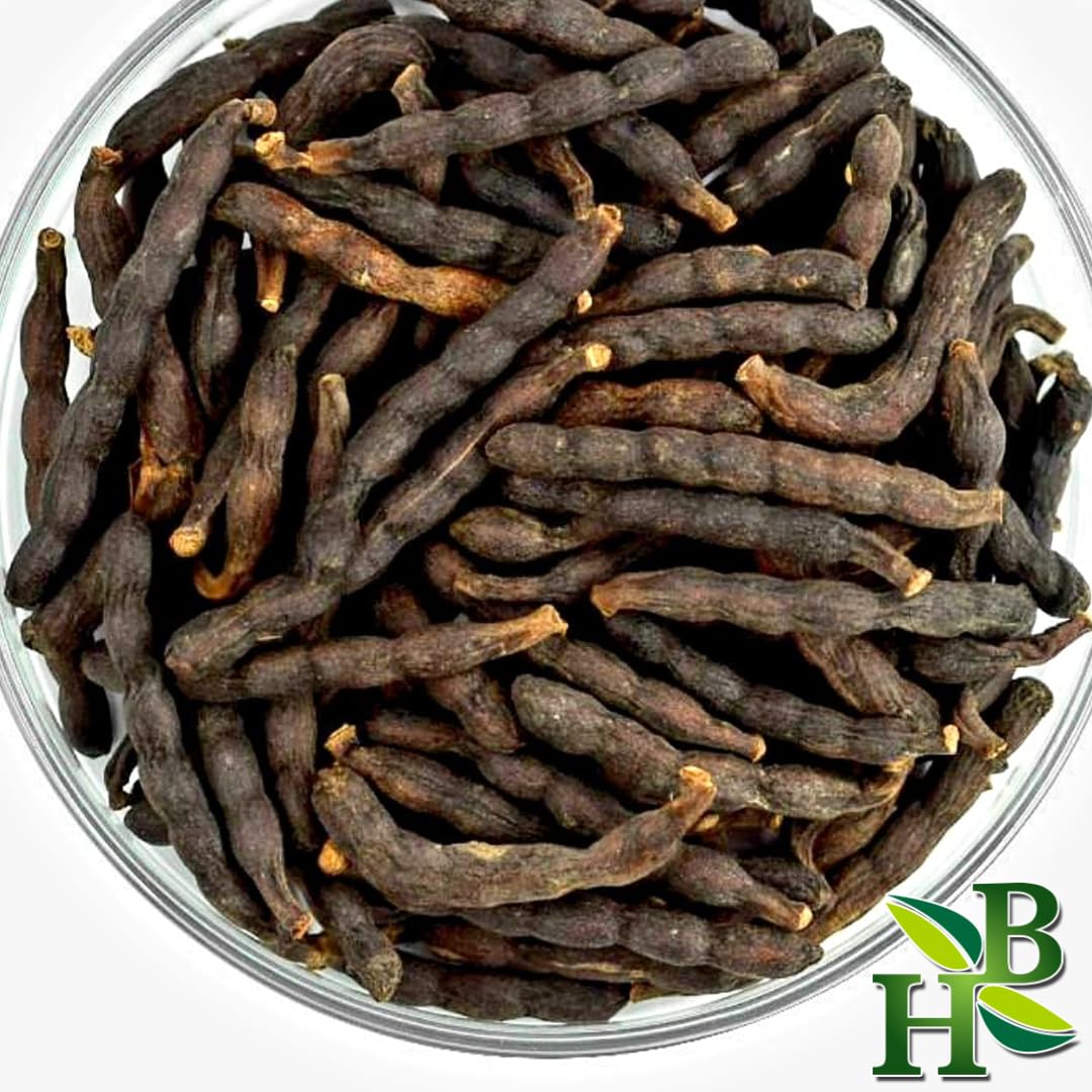 Herb To Body Hwentia Whole | Xylopia Aethiopica (Grains of Selim) 4oz Wildcrafted