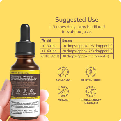 Grama Wellness Organic Echinacea Goldenseal Tincture - Immune Support, Alcohol-Free, 30 Servings