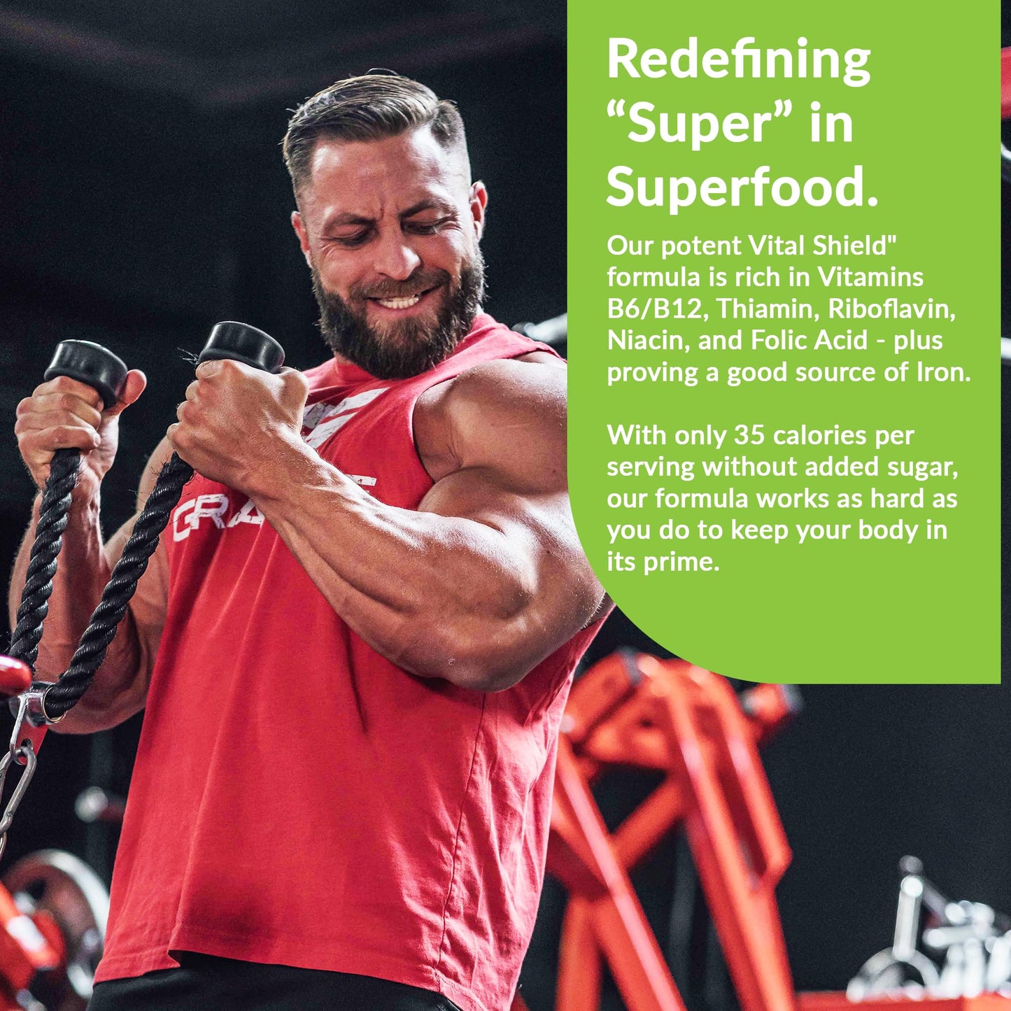 Granite Nutrition Vital Shield – USDA Organic Greens, Mushrooms & Tart Cherry (30 Servings)