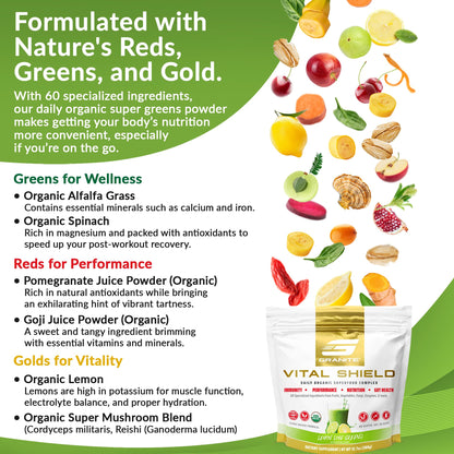 Granite Nutrition Vital Shield – USDA Organic Greens, Mushrooms & Tart Cherry (30 Servings)