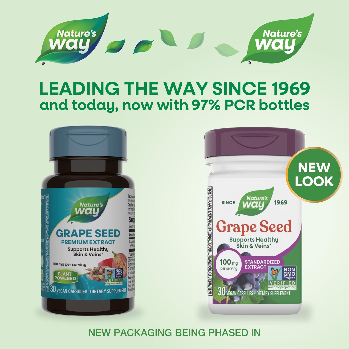 Nature's Way Grape Seed Standardized Extract – Supports Healthy Skin and Veins, Antioxidant Support, Non-GMO, Vegan, 30 Capsules