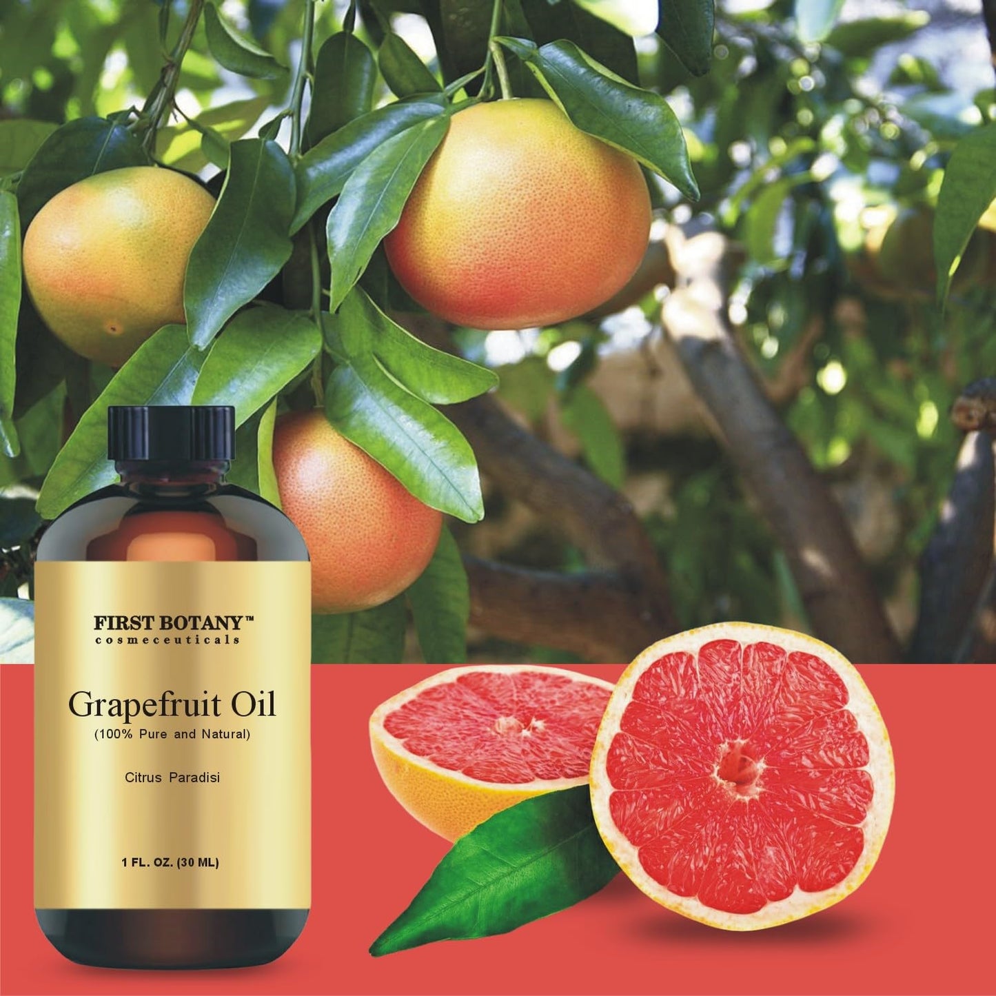 Grapefruit Essential Oil - 100% Pure, Aromatherapy, Massage & More | 1 fl oz
