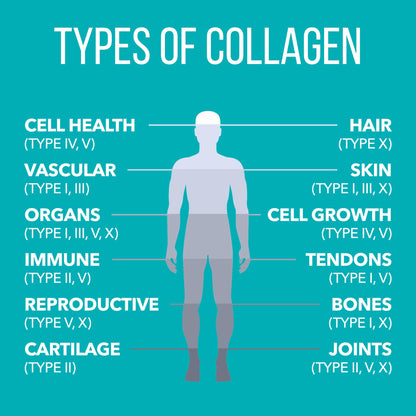 Natures Plus Collagen Peptides - 20 Stick Packets | Hair, Skin, Nail & Joint Health, Immune Support