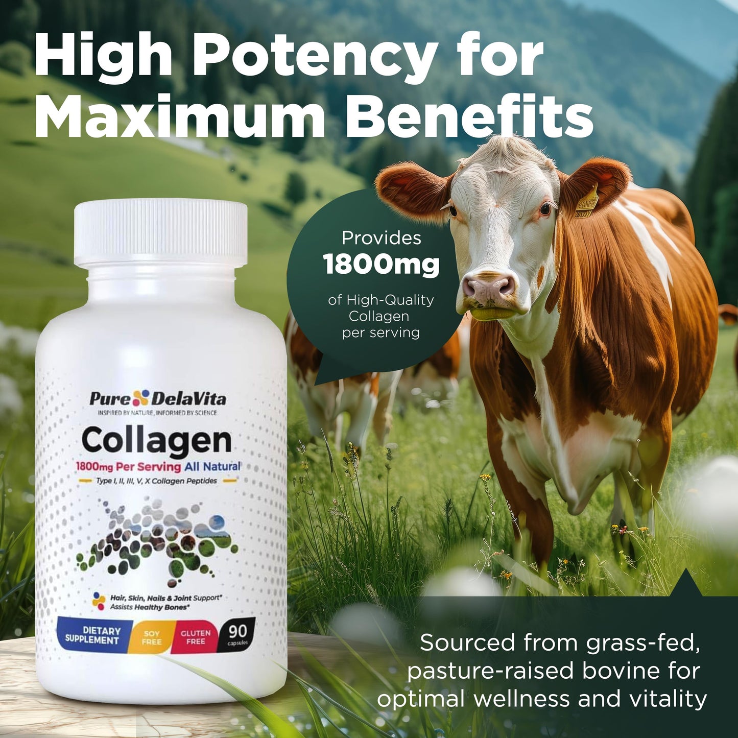 Complete Collagen Capsules for Women – 1800mg, Types I-V, 90 Capsules