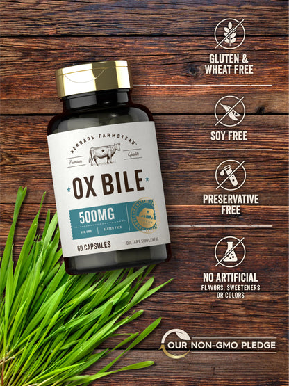 Carlyle Ox Bile Supplement 500 mg | 60 Capsules | Digestive Enzymes | Non-GMO & Gluten Free | by Herbage Farmstead
