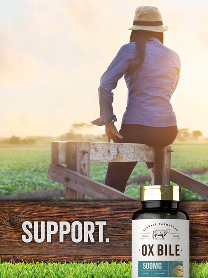 Carlyle Ox Bile Supplement 500 mg | 60 Capsules | Digestive Enzymes | Non-GMO & Gluten Free | by Herbage Farmstead