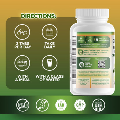 GreeNatr Ginkgo Biloba & Panax Ginseng – 120 Tablets | Brain Health