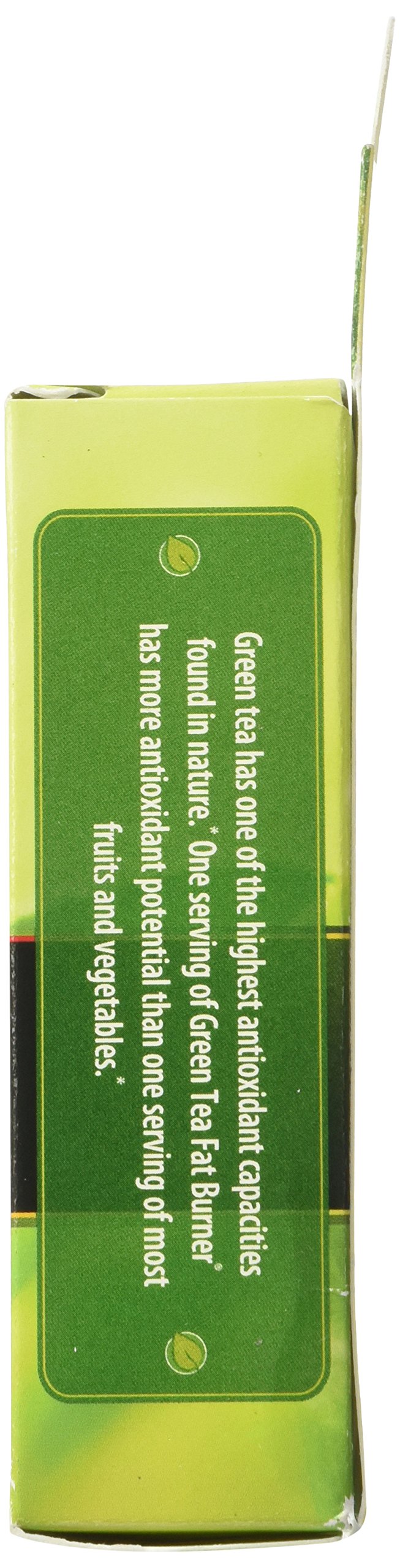 Applied Nutrition Green Tea Fat Burner – EGCG 400 mg + Green Coffee Bean Extract