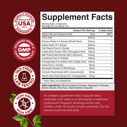 Green Coffee Bean Extract for Uric Acid Cleanse & Detox – 90 Count