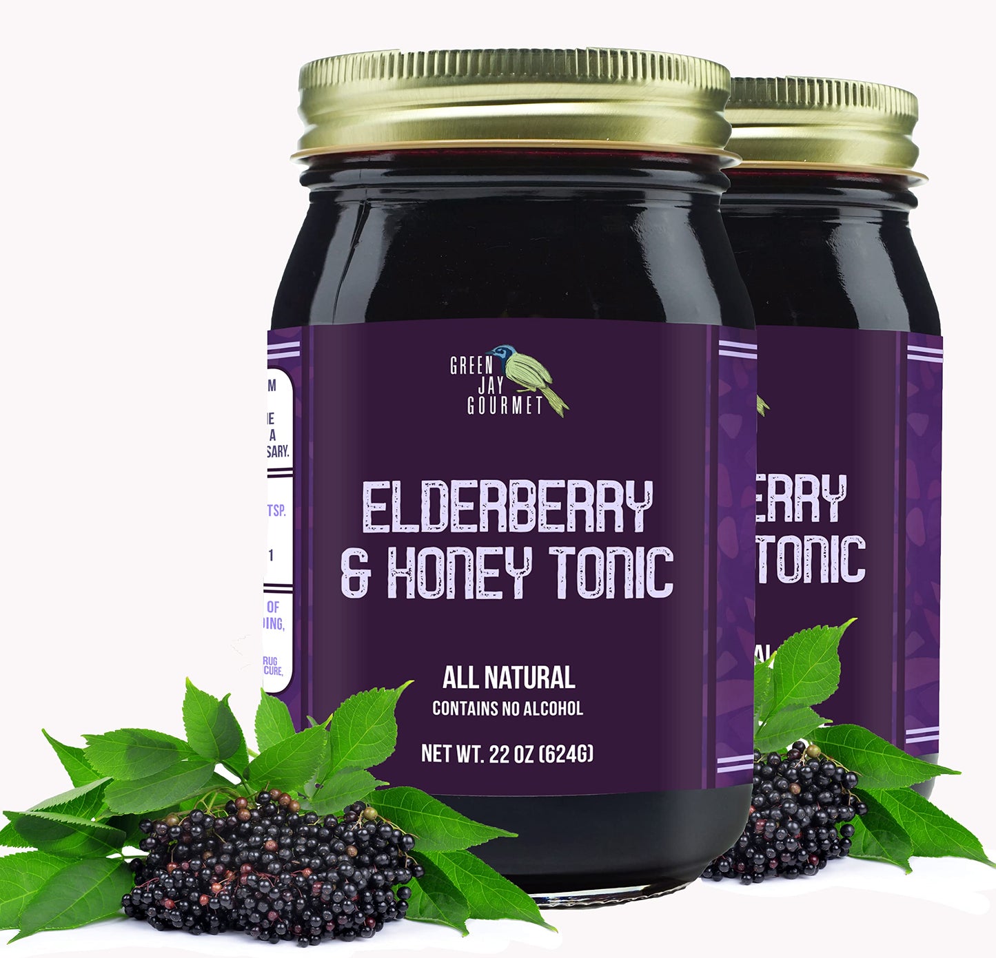 Green Jay Gourmet Elderberry Tonic – All Natural Immune Support (2 x 22 oz)