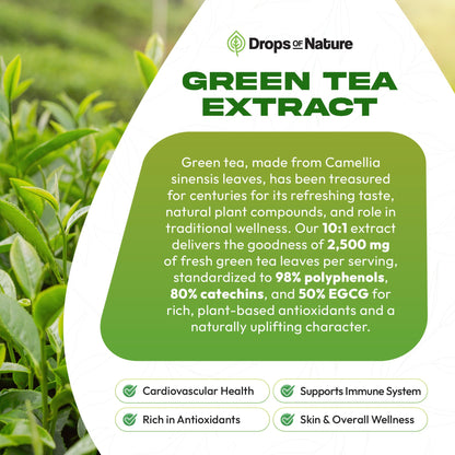Green Tea 10:1 Extract 50% EGCG Liquid Drops – Vegan Immune & Skin Support