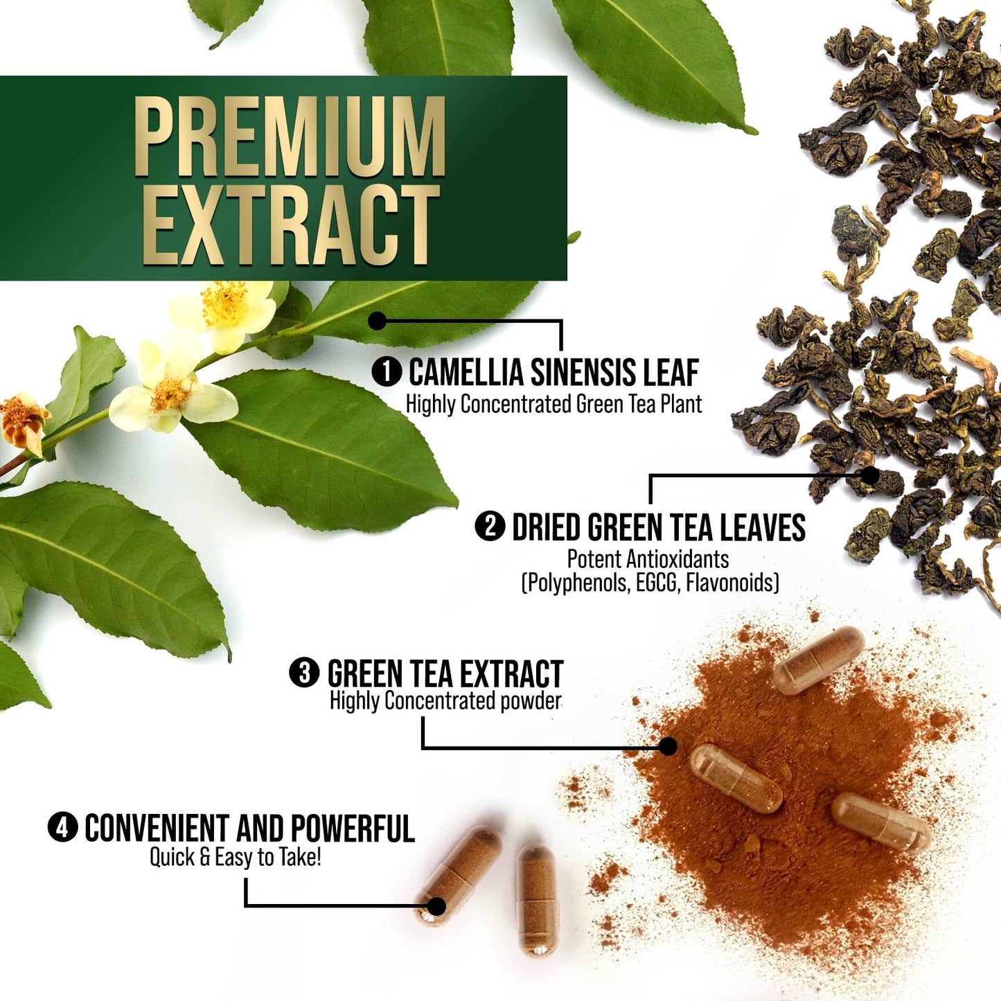 Green Tea Extract Capsules 1000 mg – 3X Strength, 45% EGCG & 98% Polyphenols | 120 Capsules