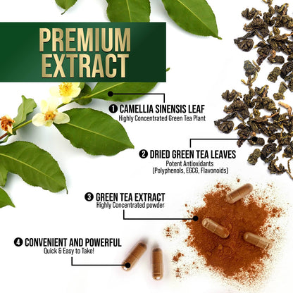 Green Tea Extract Capsules 1000 mg – 3X Strength, 45% EGCG & 98% Polyphenols | 120 Capsules