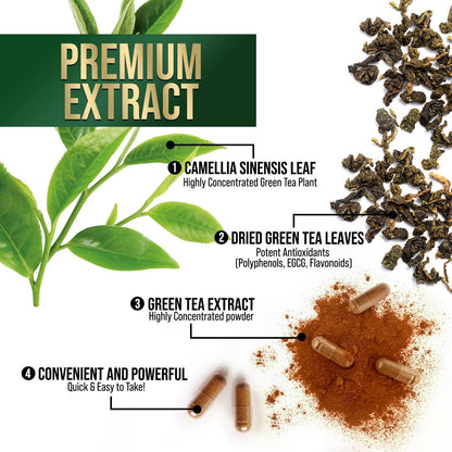Green Tea Extract Capsules 1000 mg | 45% EGCG & 98% Polyphenols | 3X Strength | Vegan, Non-GMO, 240 Capsules