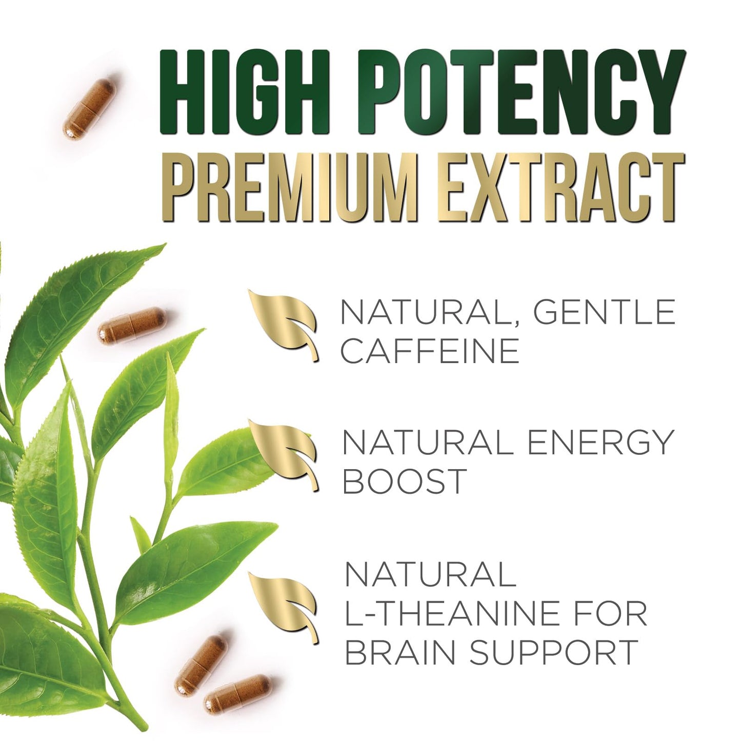 Green Tea Extract Capsules 1000 mg | 45% EGCG & 98% Polyphenols | 3X Strength | Vegan, Non-GMO, 240 Capsules