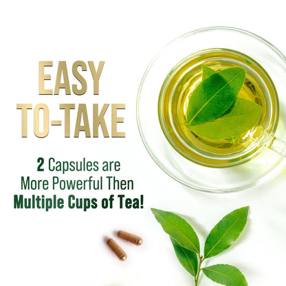 Green Tea Extract Capsules 1000 mg | 45% EGCG & 98% Polyphenols | 3X Strength | Vegan, Non-GMO, 240 Capsules