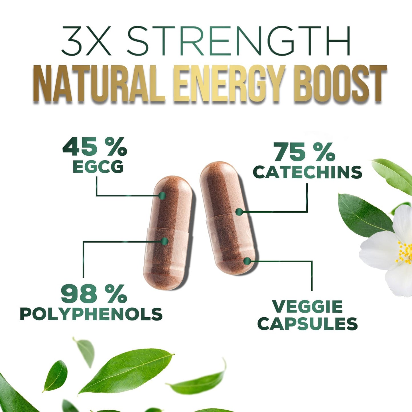 Green Tea Extract Capsules 1000mg - 45% EGCG, 98% Polyphenols | 60 Capsules