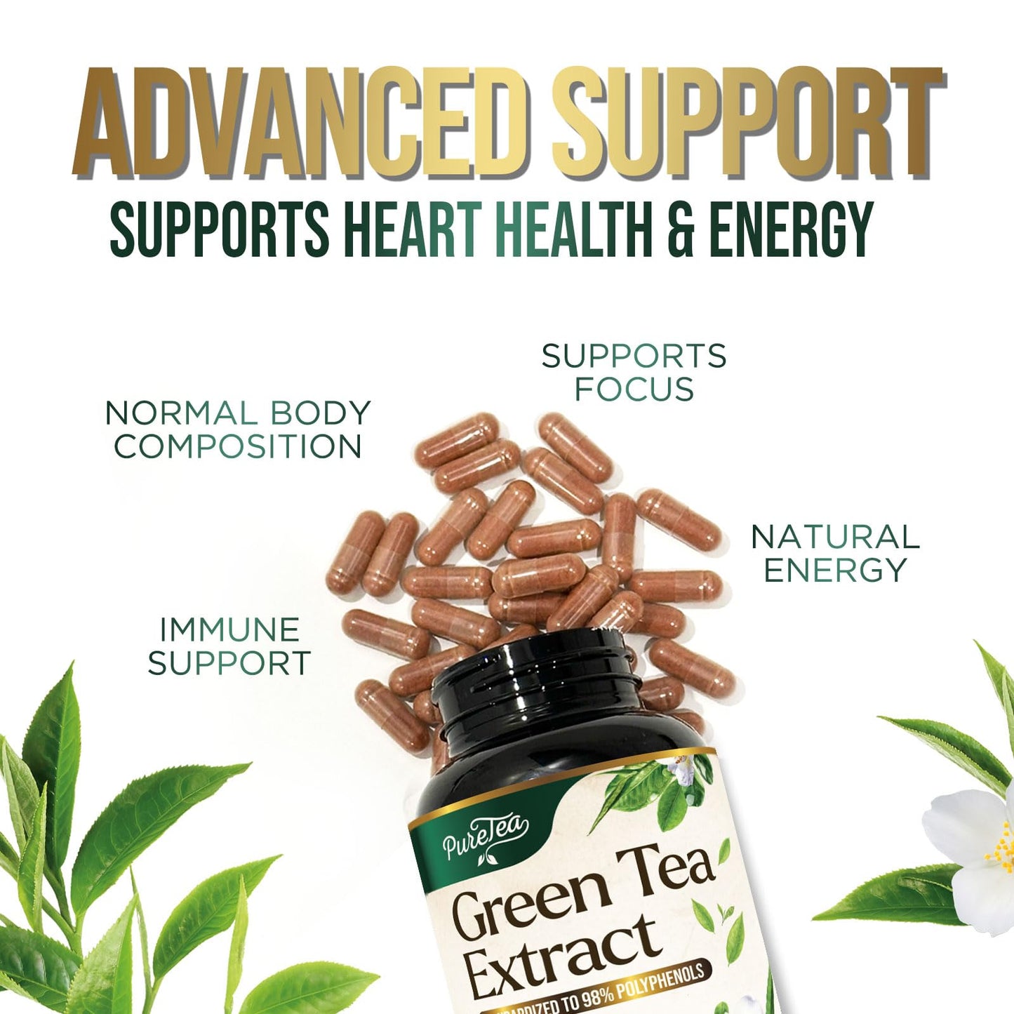 Green Tea Extract Capsules 1000mg - 45% EGCG, 98% Polyphenols | 60 Capsules