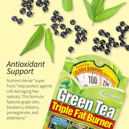 Applied Nutrition Green Tea Fat Burner – EGCG 400 mg + Green Coffee Bean Extract