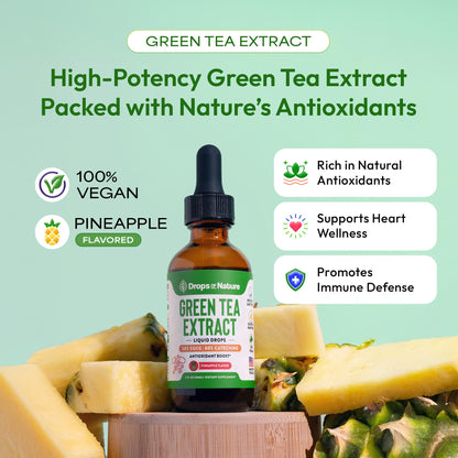 Green Tea 10:1 Extract 50% EGCG Liquid Drops – Vegan Immune & Skin Support