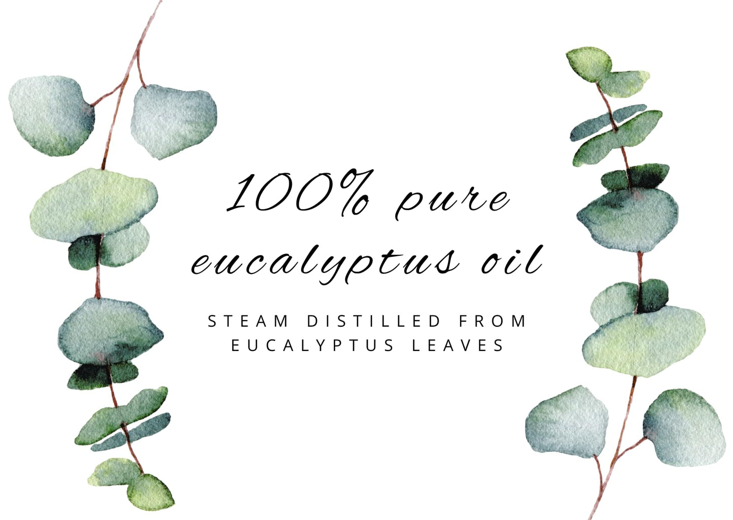 GreenHealth Eucalyptus Essential Oil – 32 fl oz (946 ml) Bulk, 100% Pure & Natural