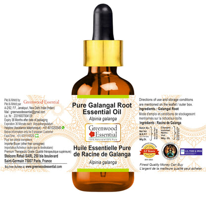 Greenwood Galangal Root Essential Oil (Alpinia Galanga) – Steam Distilled 5ml with Glass Dropper | Pure, Lightweight, Non-Sticky