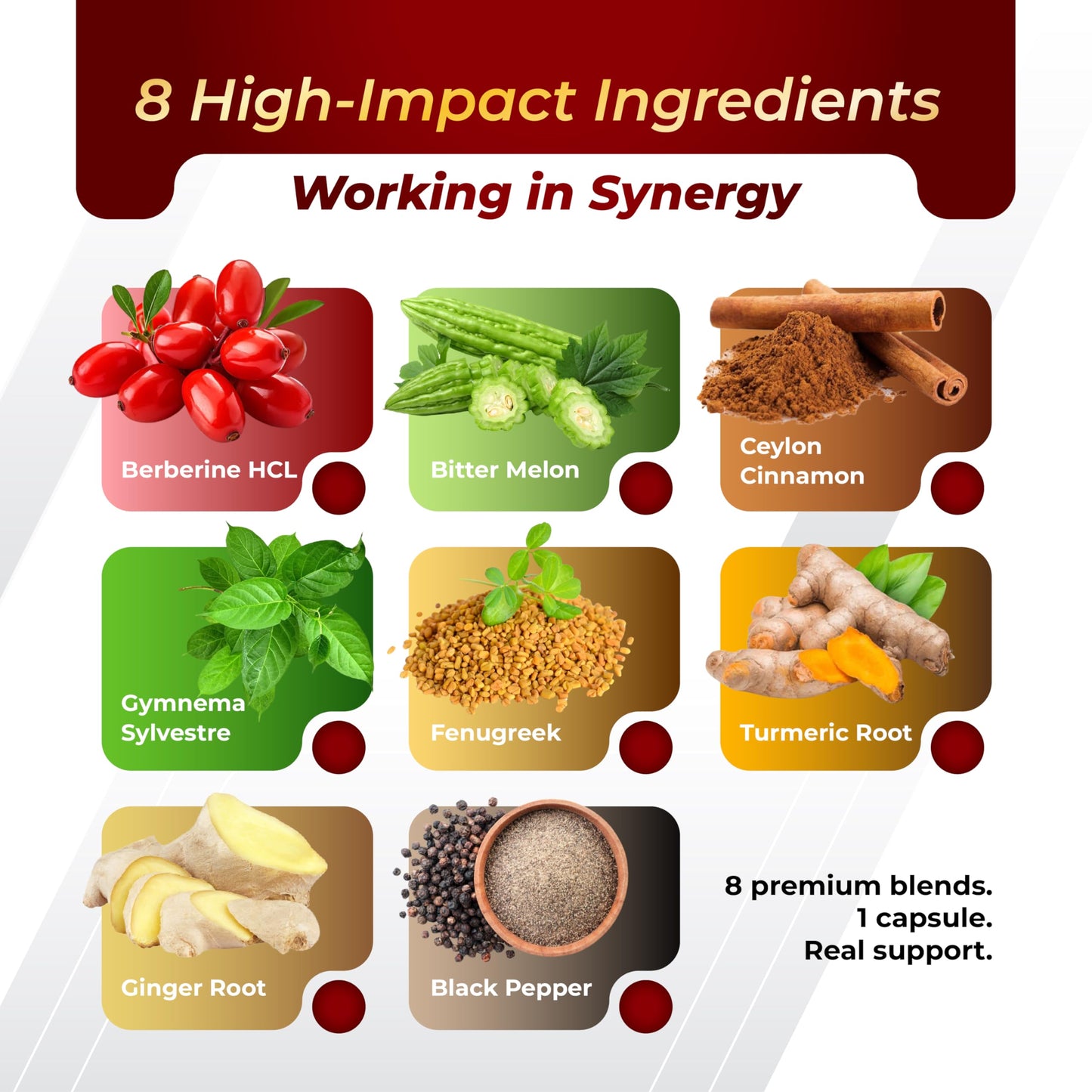 GriMed Berberine 9,500mg + Cinnamon & Bitter Melon — Immune Support | USA Made