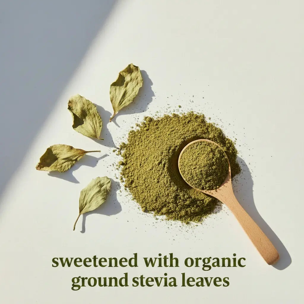 Siocolat Organic Vegan Sugar Free Low Calorie Hot Chocolate Drink 10 sachets Siocolat