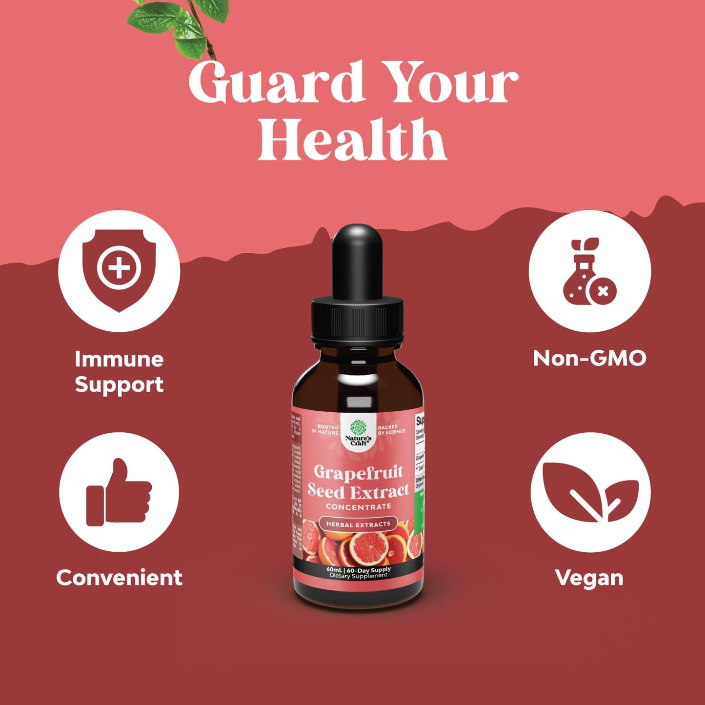 GSE Grapefruit Seed Extract Liquid – One Drop Daily | Gut Health & Immune Support | 2OZ, 60 Servings