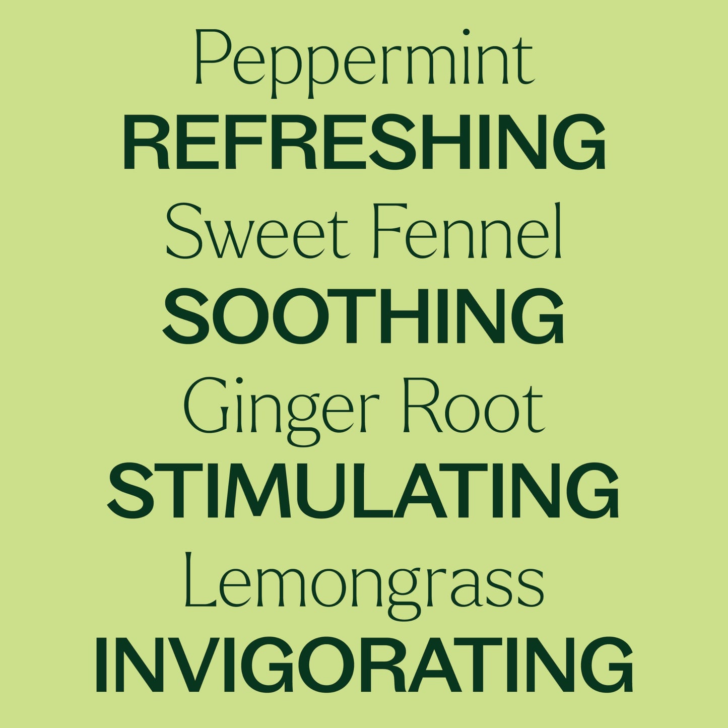 Plant Therapy Gut Aid Essential Oil Blend 10 mL – Upset Stomach Relief