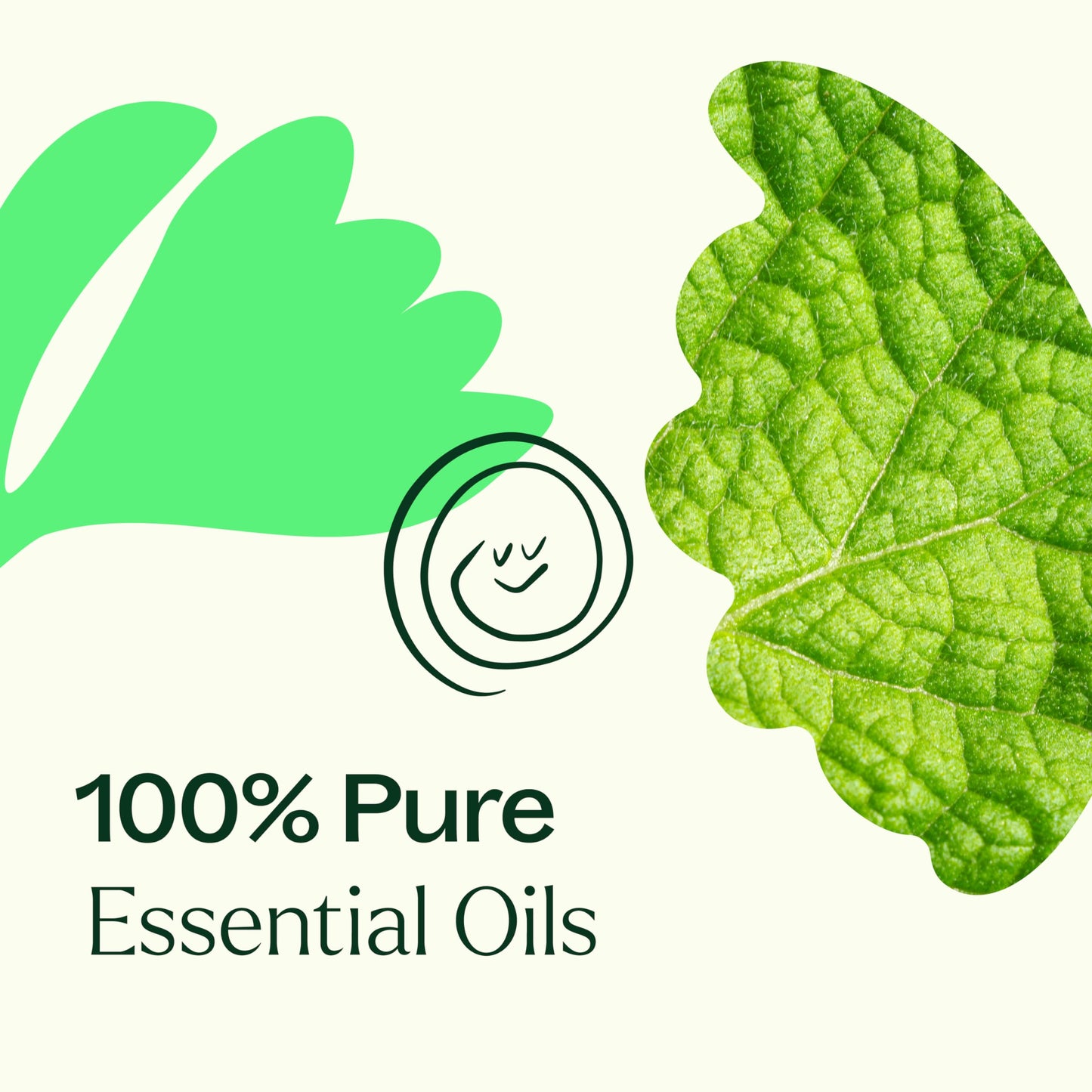 Plant Therapy Gut Aid Essential Oil Blend 10 mL – Upset Stomach Relief