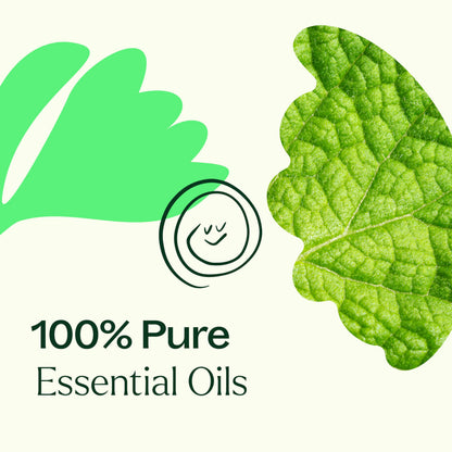 Plant Therapy Gut Aid Essential Oil Blend 10 mL – Upset Stomach Relief