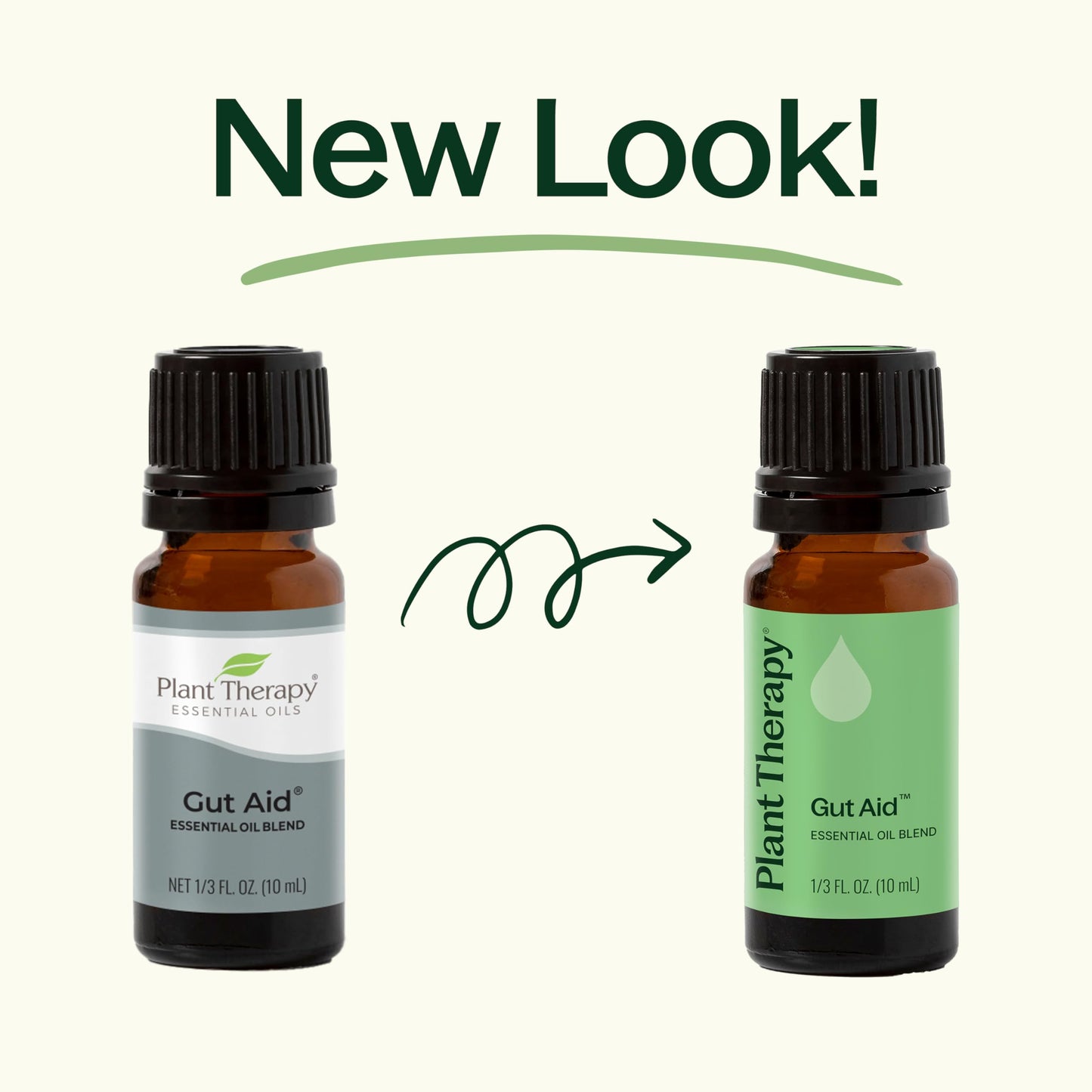 Plant Therapy Gut Aid Essential Oil Blend 10 mL – Upset Stomach Relief