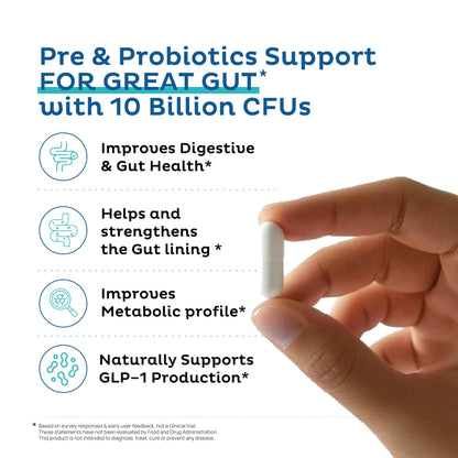 Akkermansia Muciniphila Probiotic + Triphala – 10B CFU | 3 Month Supply