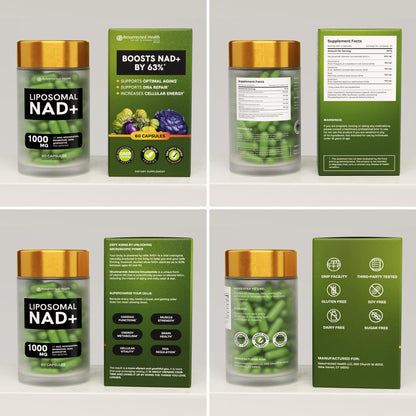 Resurrected Health Liposomal NAD Supplements for Women Resveratrol NAD + Supplement w/Berberine, Quercetin, Noni | Boosts NAD Anti-Aging, Bravfin Support, Gut Heath - 60 Capsules