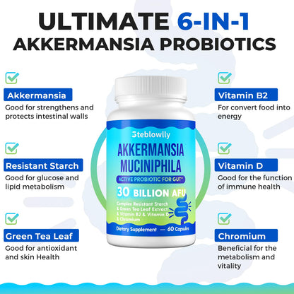 Akkermansia Probiotic with GLP-1 – 60 Capsules for Gut Health