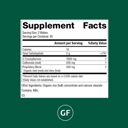 GI Stability – Gut Microbiome Health Prebiotic Supplement | Standard Process | 90 Wafers (45 Servings)
