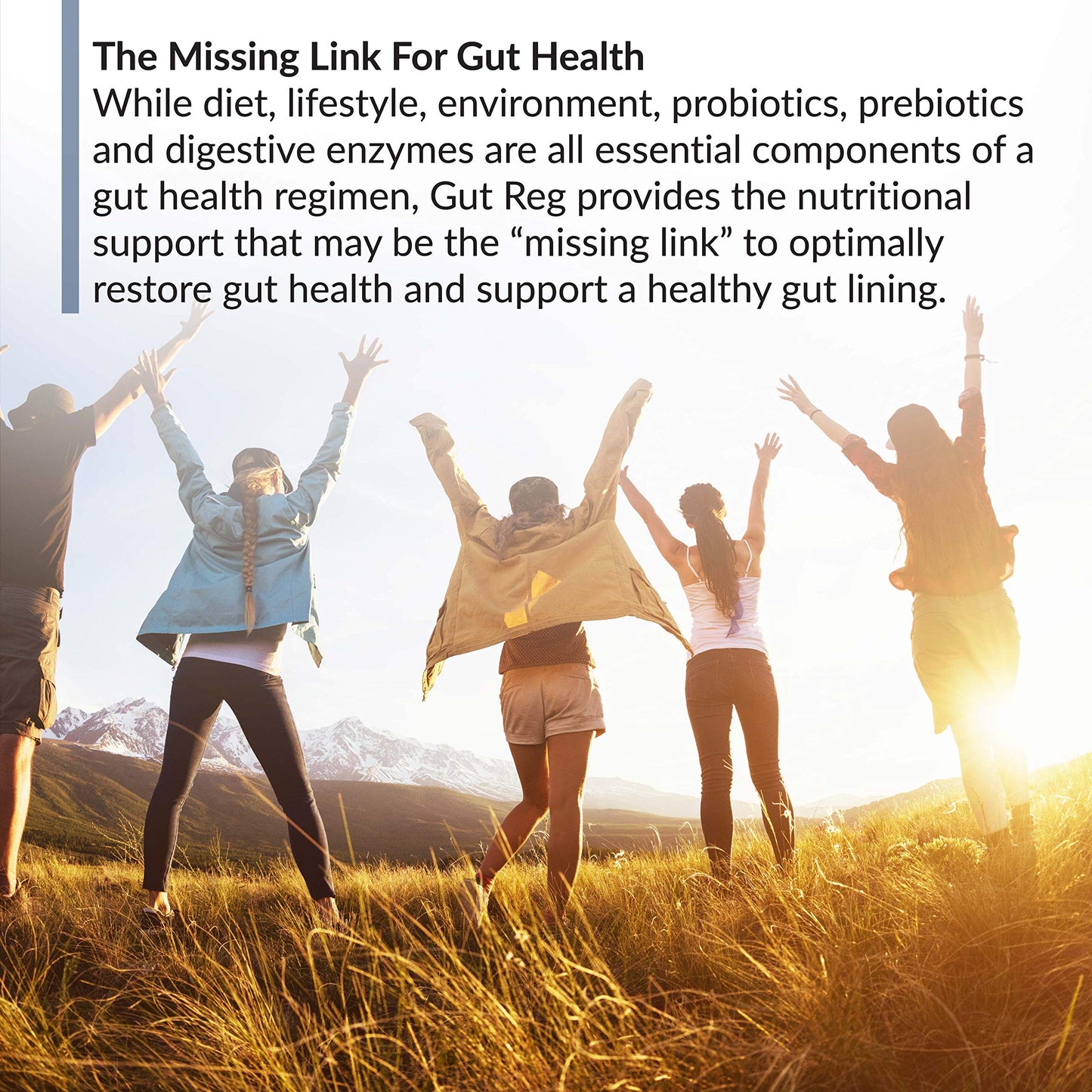 BioTrust Gut Reg Supports a Healthy Gut Lining - PepZin GI, L-Glutamine & Ginger (60 Capsules)