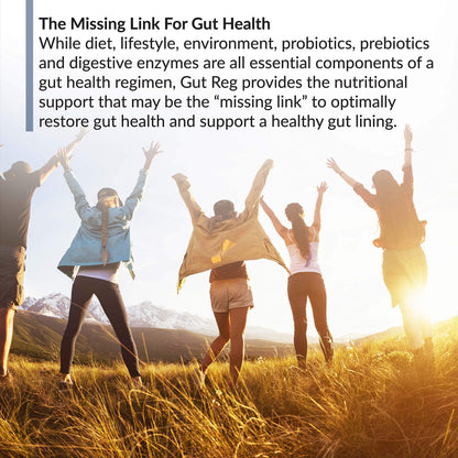 BioTrust Gut Reg Supports a Healthy Gut Lining - PepZin GI, L-Glutamine & Ginger (60 Capsules)