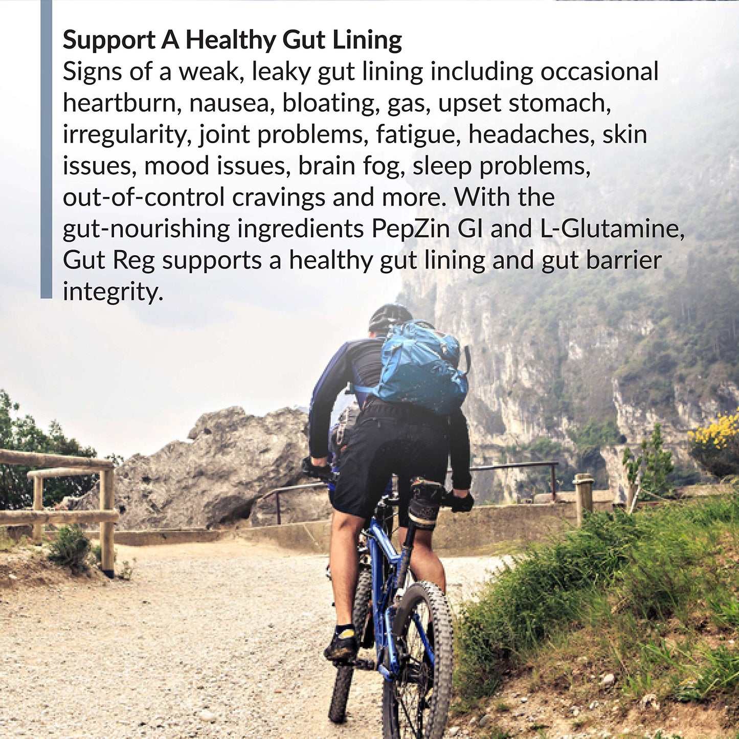 BioTrust Gut Reg Supports a Healthy Gut Lining - PepZin GI, L-Glutamine & Ginger (60 Capsules)