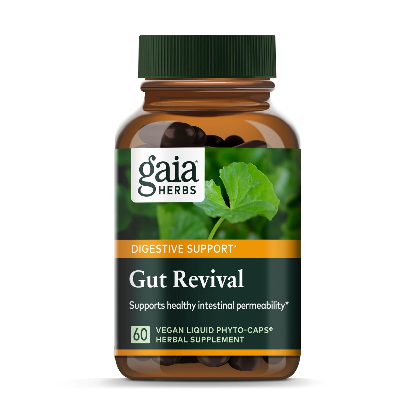 Gaia Herbs Gut Revival - Herbal Digestive Support for Gut Health | 60 Vegan Capsules | Free from Dairy, Soy & Gluten
