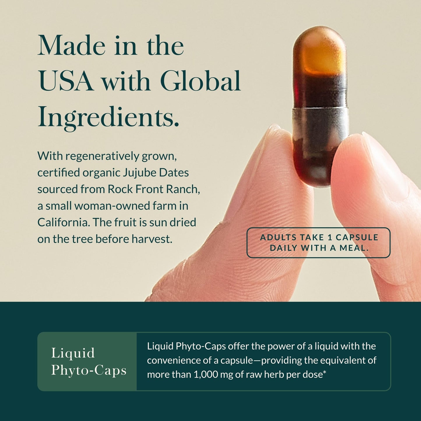 Gaia Herbs Gut Revival - Herbal Digestive Support for Gut Health | 60 Vegan Capsules | Free from Dairy, Soy & Gluten