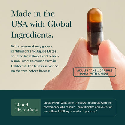 Gaia Herbs Gut Revival - Herbal Digestive Support for Gut Health | 60 Vegan Capsules | Free from Dairy, Soy & Gluten