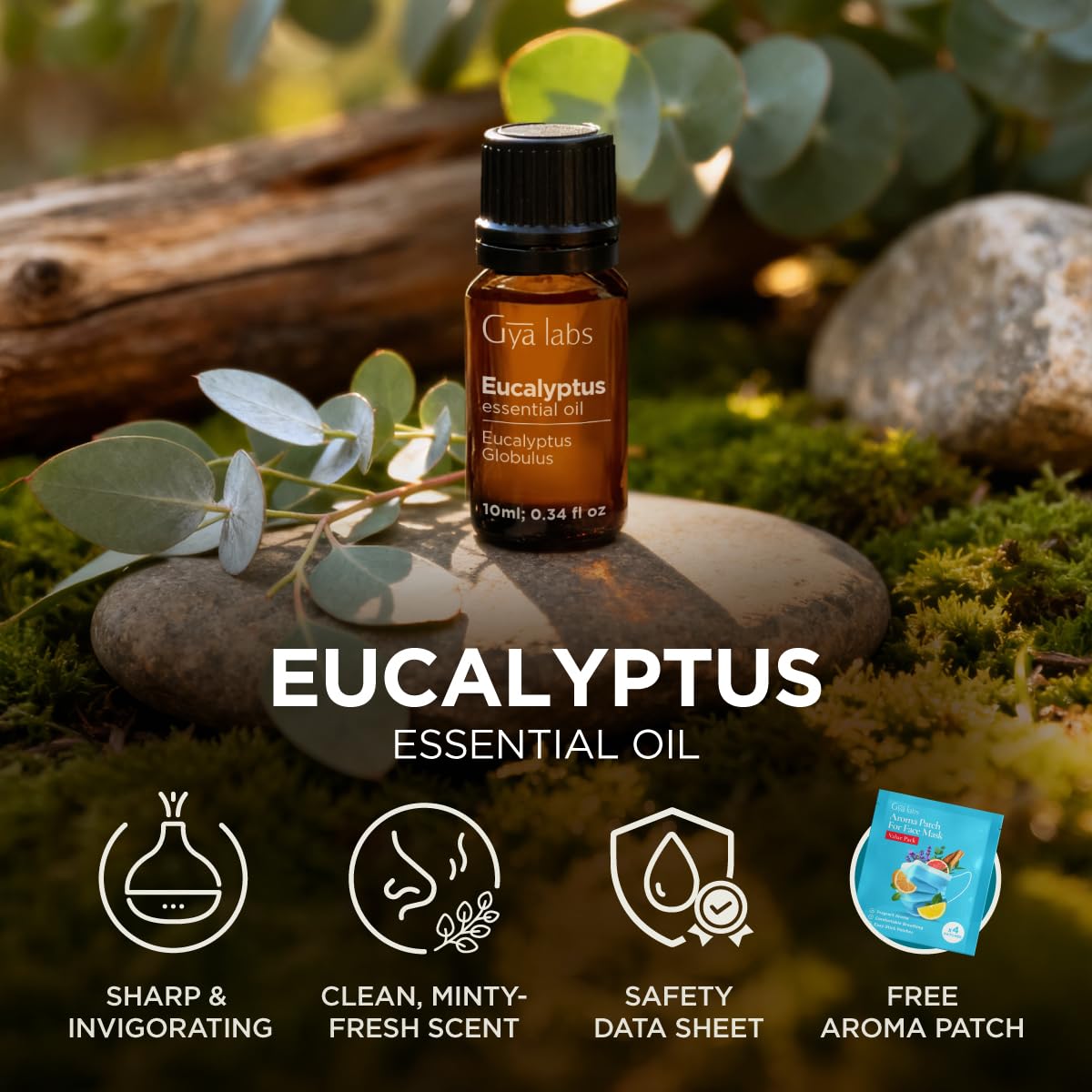 Gya Labs Eucalyptus Essential Oil - 0.34 Fl Oz | Diffuser, Massage, Hair, Skin, Aromatherapy