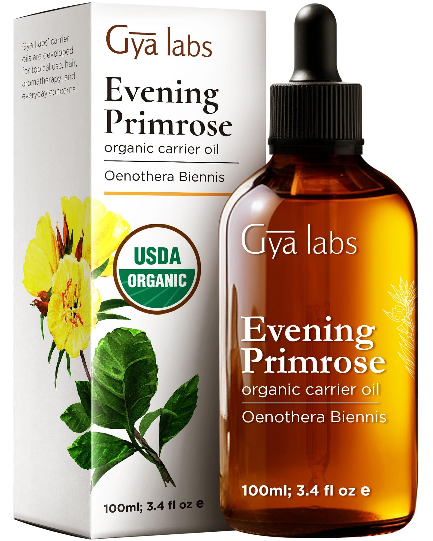 Gya Labs Evening Primrose Carrier Oil - 3.4 Fl Oz for Hair, Skin, Face & Massage