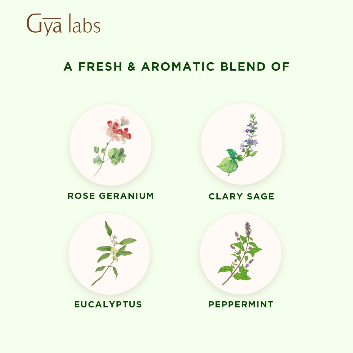 Gya Labs Focus Booster Essential Oil Blend – Fresh Mint Scent (0.34 fl oz)