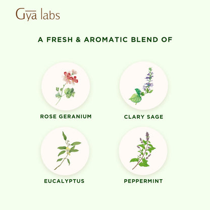 Gya Labs Focus Booster Essential Oil Blend – Fresh Mint Scent (0.34 fl oz)