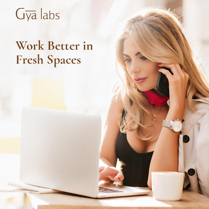 Gya Labs Focus Booster Essential Oil Blend – Fresh Mint Scent (0.34 fl oz)