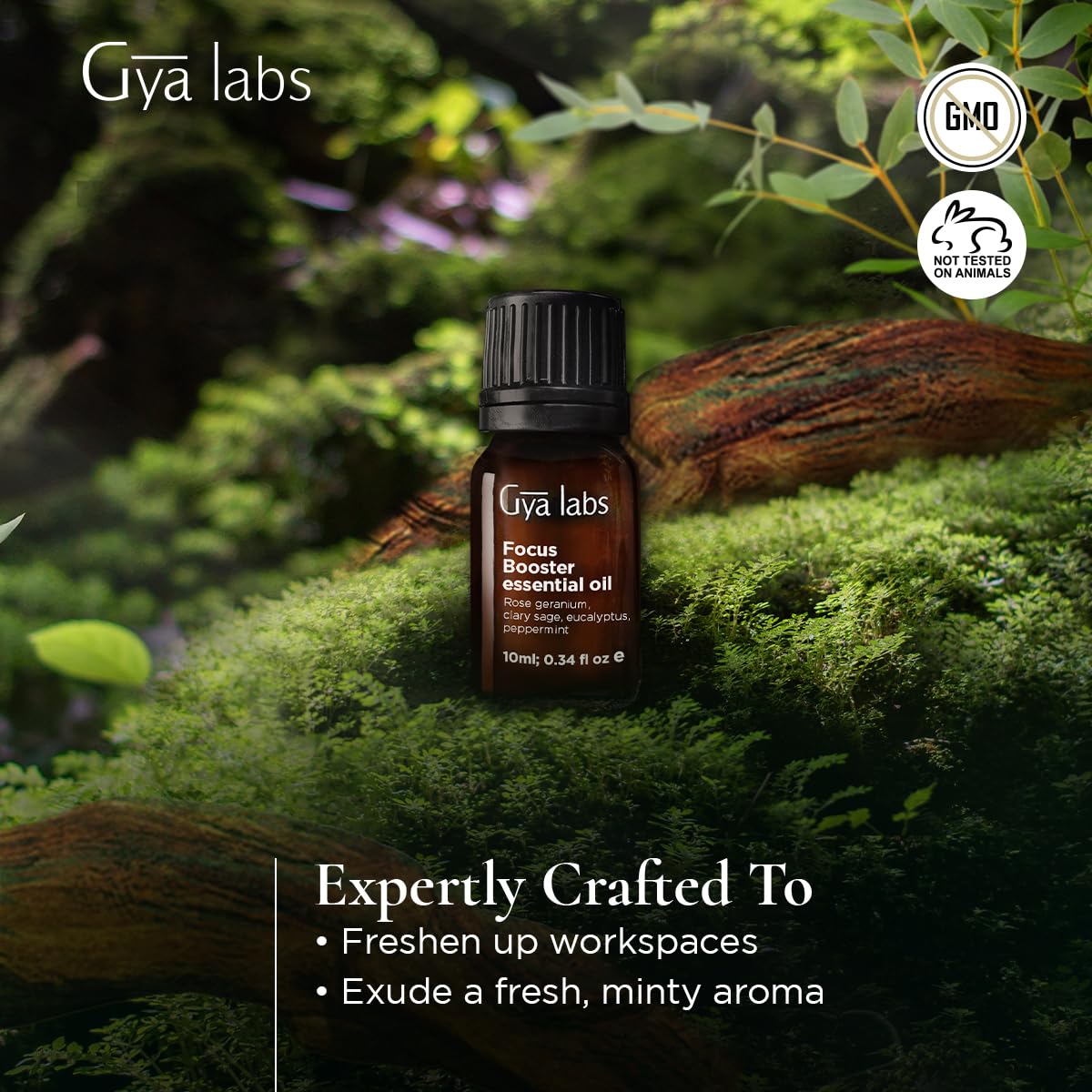 Gya Labs Focus Booster Essential Oil Blend – Fresh Mint Scent (0.34 fl oz)
